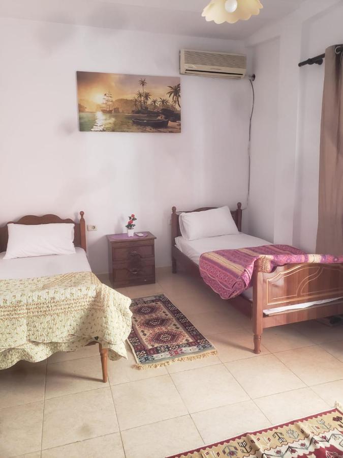 Hostel Split Rock Tirana Exterior photo